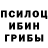 Галлюциногенные грибы Cubensis Guli.  Moskva.