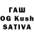 Псилоцибиновые грибы Magic Shrooms Efim Roussabrov