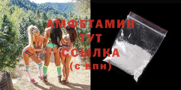 шишки Алзамай