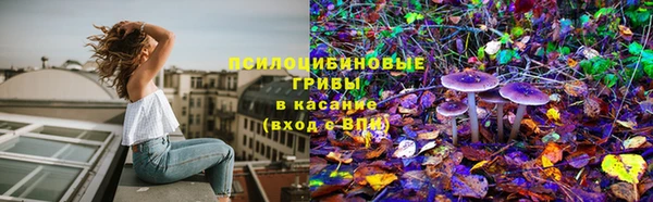 шишки Алзамай